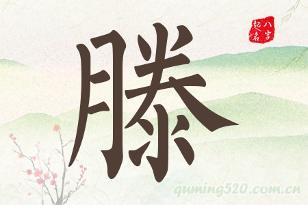 滕字五行属什么